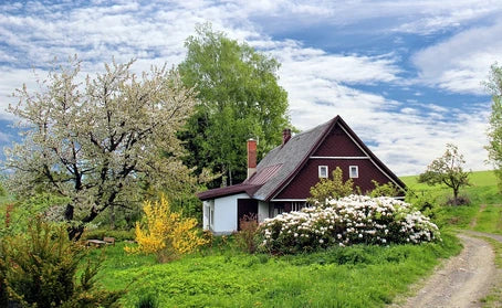 Landscapes that Feed your Family