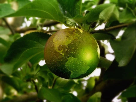 Cleaning Responsibly: Earth Day Swaps