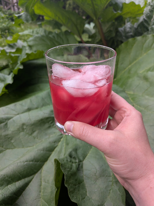 Glass of refreshing rhubarb tea