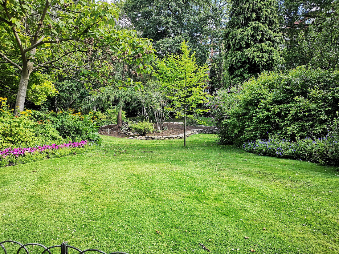 Backyard Medicine