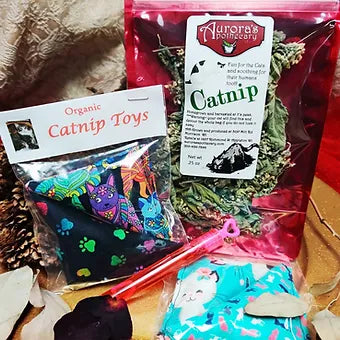 Catnip Kitty Bundle