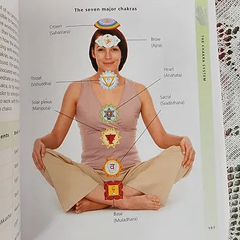 The Reiki Bible