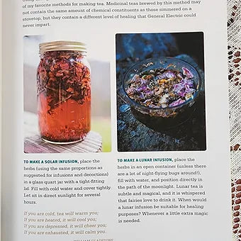 Medicinal Herbs-A Beginner's Guide