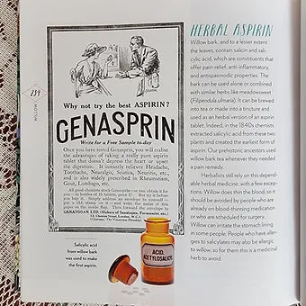 Cattail Moonshine & Milkweed Medicine