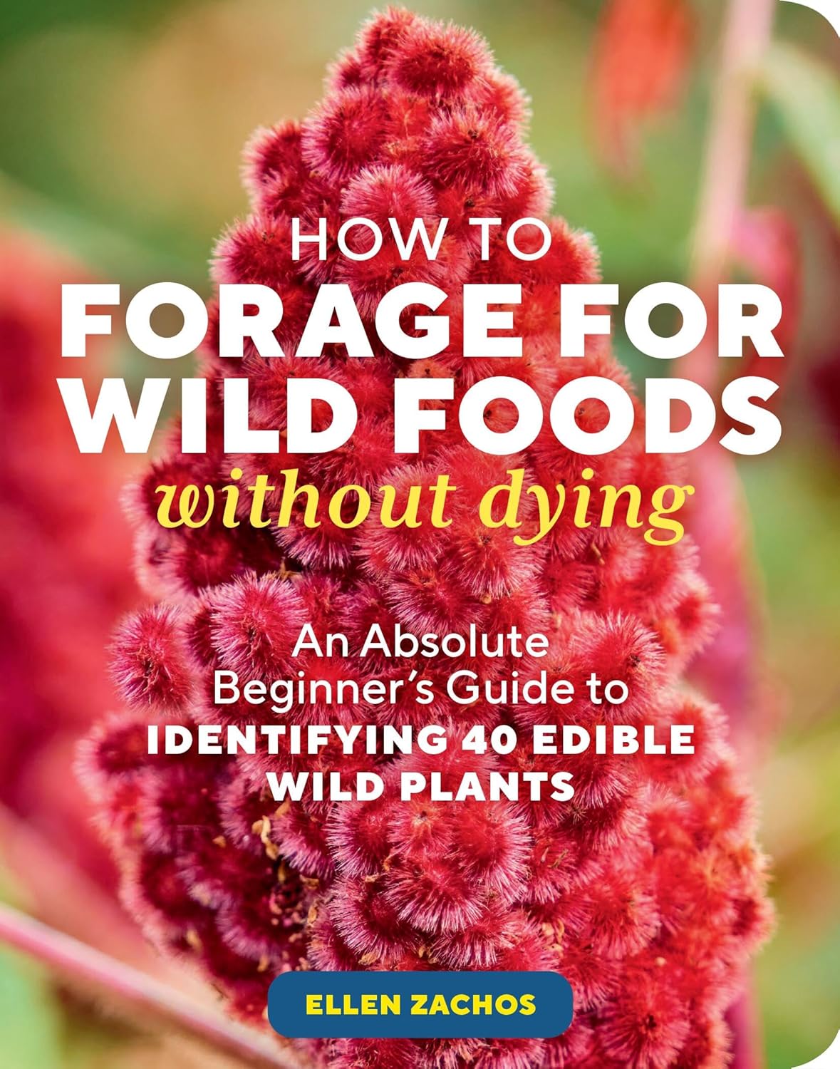 Book cover of Forage: Wild Foods Without Dying, an essential guide to safe foraging, featuring edible plants and mushrooms.