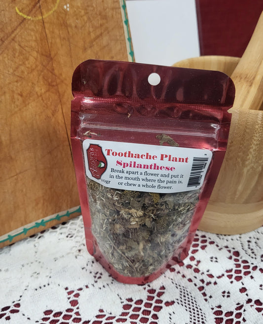 Spilanthese for toothache pain