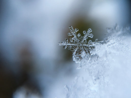 The Smells of Winter