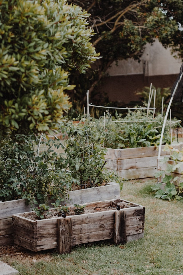 Creating your own herb garden