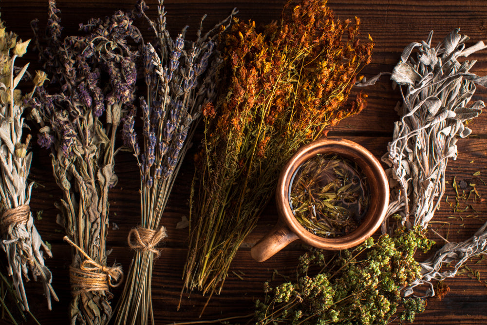 Herbal 101: Beginner's Herbalism Class