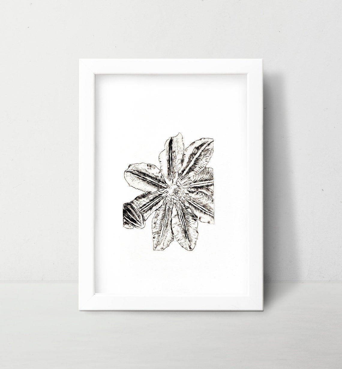 Lily Wall Art Print Black and White Botanical Medieval Art