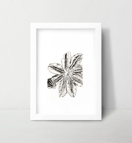 Lily Wall Art Print Black and White Botanical Medieval Art